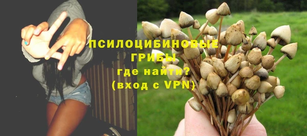 крисы Армянск