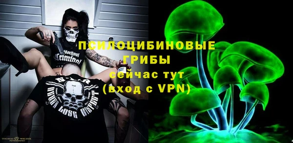 крисы Армянск