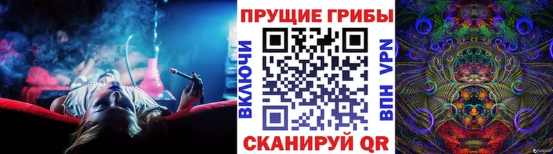 Галлюциногенные грибы Psilocybine cubensis  купить закладку  кракен рабочий сайт  Урус-Мартан 